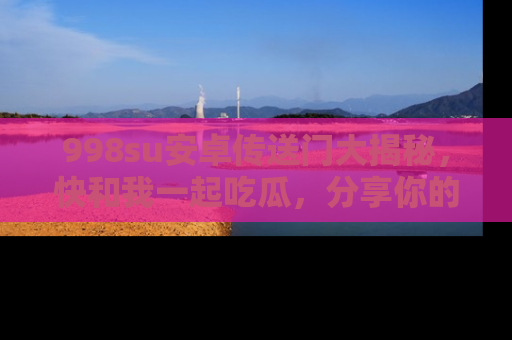 998su安卓传送门大揭秘,快和我一起吃瓜,分享你的发现!