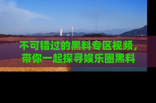 不可错过的黑料专区视频，带你一起探寻娱乐圈黑料