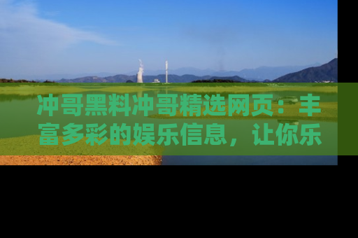 冲哥黑料冲哥精选网页：丰富多彩的娱乐信息，让你乐不停息