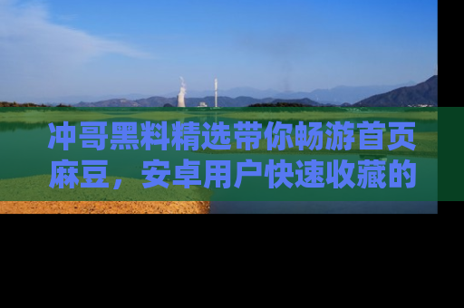 冲哥黑料精选带你畅游首页麻豆，安卓用户快速收藏的秘密武器！