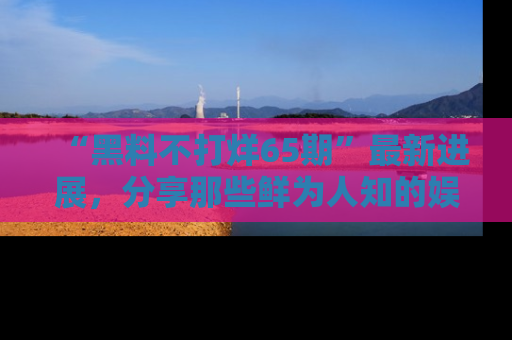 “黑料不打烊65期”最新进展,分享那些鲜为人知的娱乐八卦