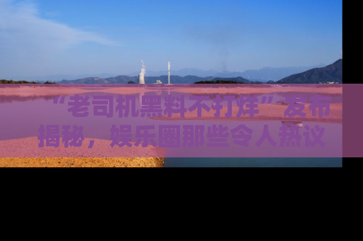 “老司机黑料不打烊”发布揭秘,娱乐圈那些令人热议的黑暗秘密!