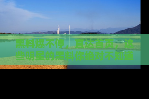 黑料爆不停，直达首页，这些明星的黑料你绝对不知道！
