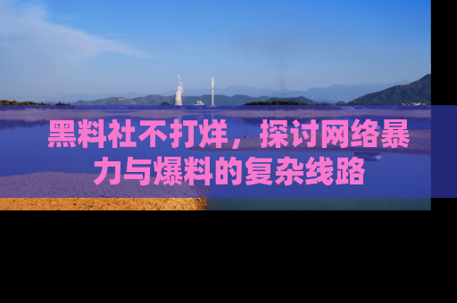 黑料社不打烊，探讨网络暴力与爆料的复杂线路