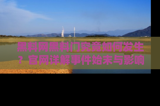 黑料网黑料门究竟如何发生？官网详解事件始末与影响