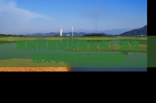 黑网料最新情报发布：速查相关事件的直达链接