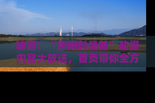 哇塞!“黑网料最新”劲爆内容大放送,首页带你全方位了解哦,小可爱们
