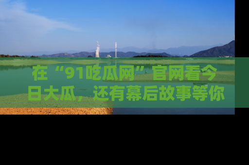 在“91吃瓜网”官网看今日大瓜,还有幕后故事等你来挖掘!