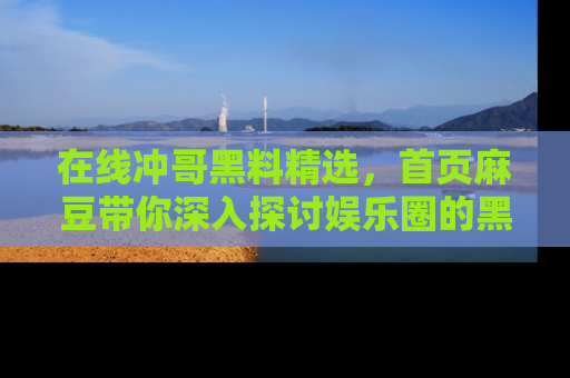 在线冲哥黑料精选，首页麻豆带你深入探讨娱乐圈的黑暗面